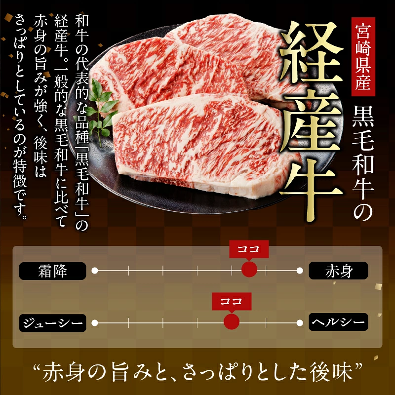 ≪訳あり≫黒毛和牛切り落とし計1kg(500g×2パック) 肉 牛 牛肉 国産_T025-0387